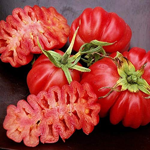TOMATO　おまとめ商品 Amazon.com : Ruffled Tomato Seeds - 25+ Seeds to Grow